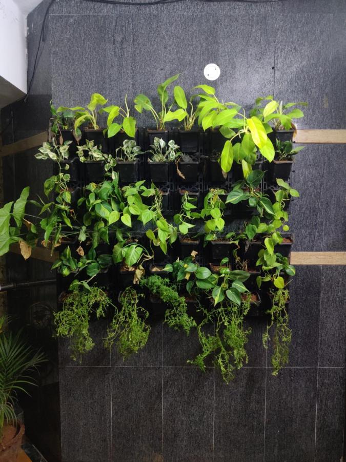 Sweet Memories- Perfect Home Stay Chennai Exterior foto